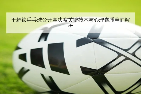 王楚钦乒乓球公开赛决赛关键技术与心理素质全面解析 - LD SPORTS